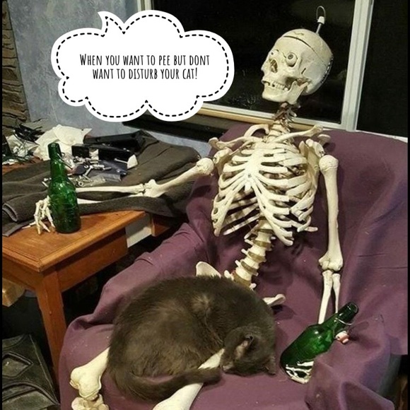 🌸WELCOME🌸 - Picture 14 of 16